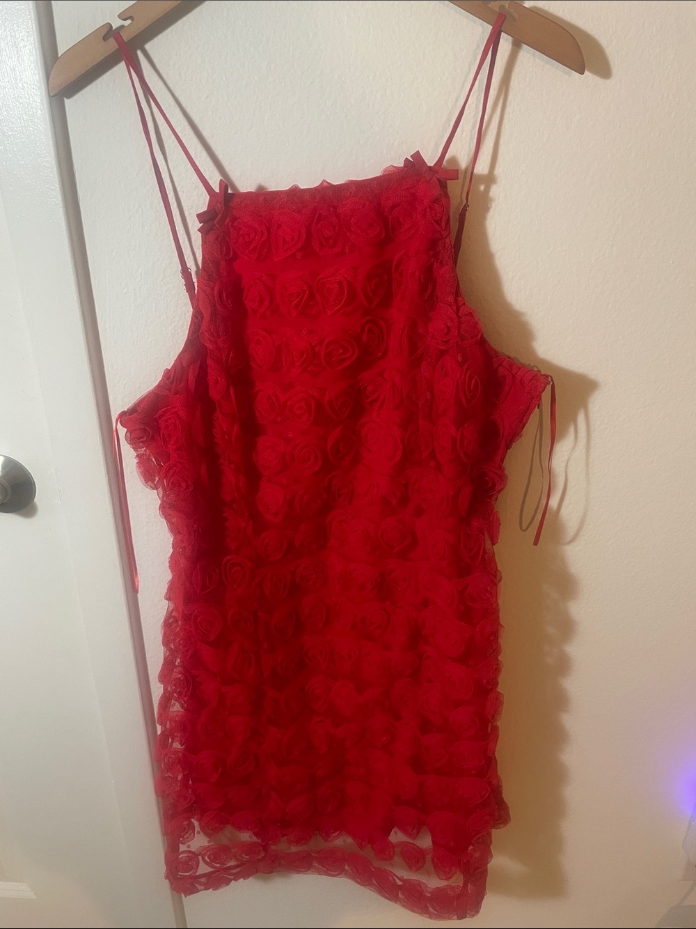 Francesca's Collections Red Mini Dress with Rosette Texture